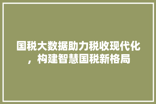 国税大数据助力税收现代化，构建智慧国税新格局