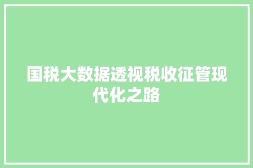 国税大数据透视税收征管现代化之路