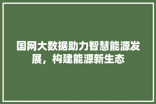 国网大数据助力智慧能源发展，构建能源新生态