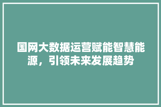 国网大数据运营赋能智慧能源，引领未来发展趋势