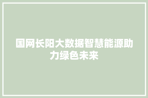 国网长阳大数据智慧能源助力绿色未来