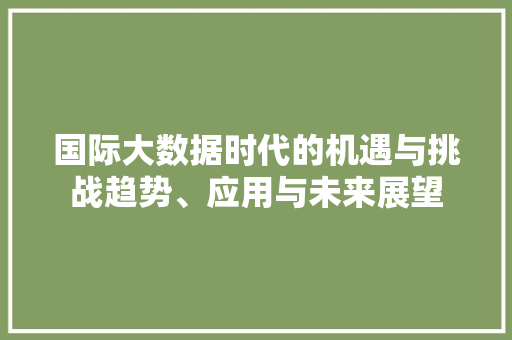 国际大数据时代的机遇与挑战趋势、应用与未来展望