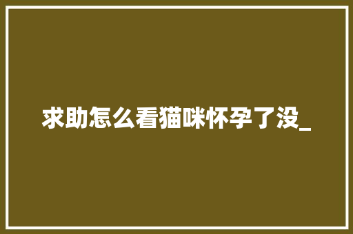 求助怎么看猫咪怀孕了没_