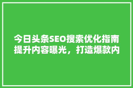 今日头条SEO搜索优化指南提升内容曝光，打造爆款内容 编程语言