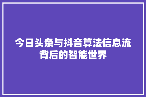 今日头条与抖音算法信息流背后的智能世界 电脑故障维修