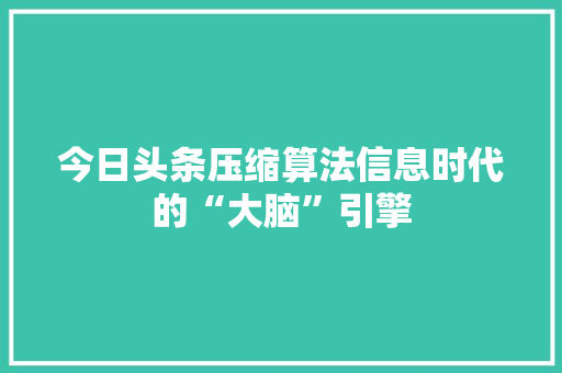 今日头条压缩算法信息时代的“大脑”引擎 电脑基础
