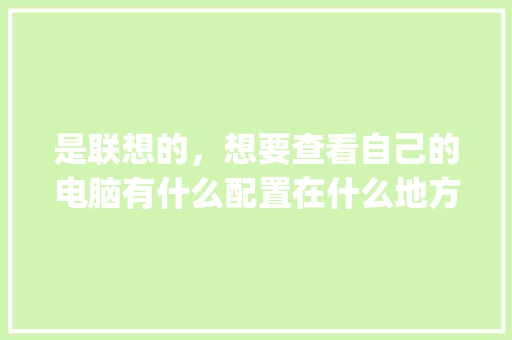 是联想的，想要查看自己的电脑有什么配置在什么地方看呀_怎么看电脑详情配置参数 编程语言