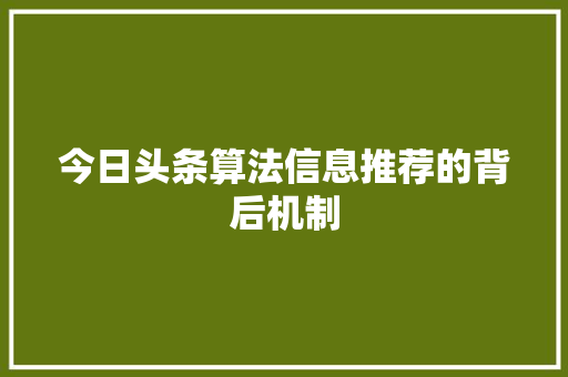 今日头条算法信息推荐的背后机制 电脑配置