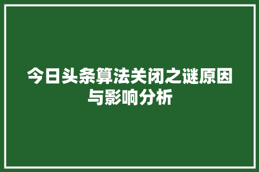 今日头条算法关闭之谜原因与影响分析