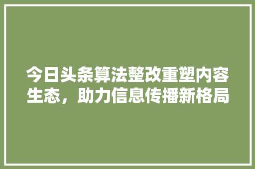 今日头条算法整改重塑内容生态,助力信息传播新格局 今日头条算法整改重塑内容生态,助力信息传播新格局