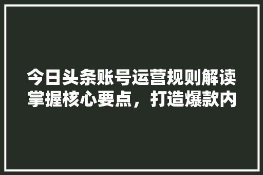 今日头条账号运营规则解读掌握核心要点，打造爆款内容
