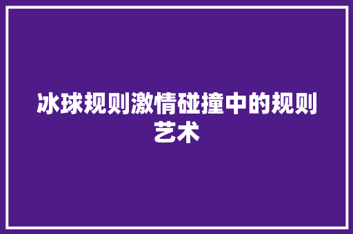 冰球规则激情碰撞中的规则艺术