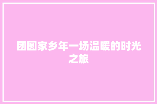 团圆家乡年一场温暖的时光之旅 操作系统 团圆家乡年一场温暖的时光之旅 操作系统