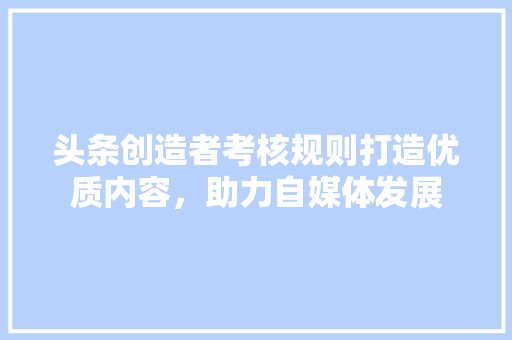头条创造者考核规则打造优质内容，助力自媒体发展 编程语言