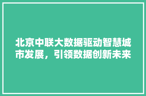 北京中联大数据驱动智慧城市发展，引领数据创新未来