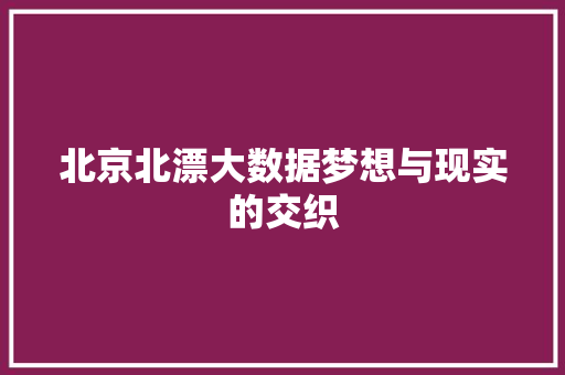 北京北漂大数据梦想与现实的交织