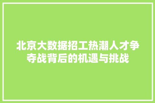 北京大数据招工热潮人才争夺战背后的机遇与挑战