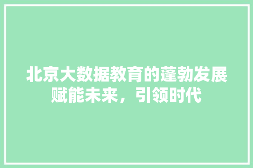 北京大数据教育的蓬勃发展赋能未来，引领时代