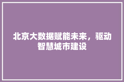 北京大数据赋能未来,驱动智慧城市建设 北京大数据赋能未来,驱动智慧城市建设
