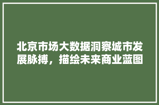 北京市场大数据洞察城市发展脉搏，描绘未来商业蓝图