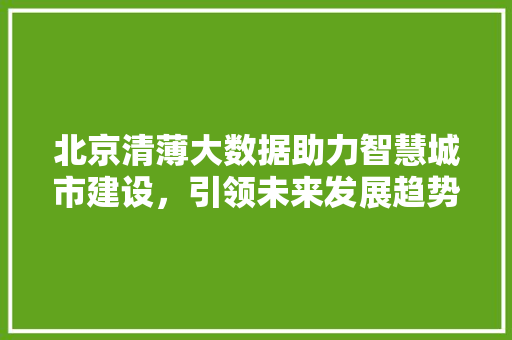 北京清薄大数据助力智慧城市建设，引领未来发展趋势