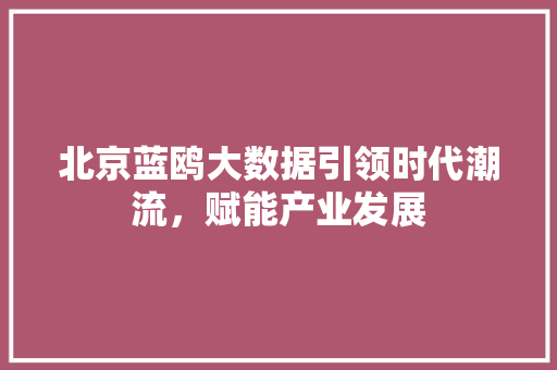 北京蓝鸥大数据引领时代潮流，赋能产业发展