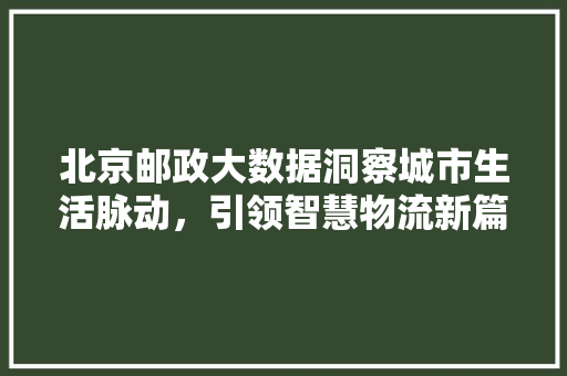 北京邮政大数据洞察城市生活脉动，引领智慧物流新篇章