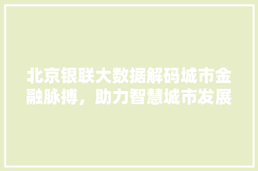 北京银联大数据解码城市金融脉搏，助力智慧城市发展