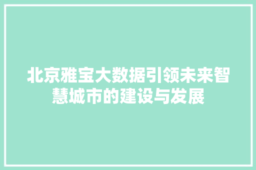 北京雅宝大数据引领未来智慧城市的建设与发展