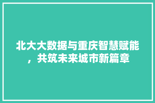 北大大数据与重庆智慧赋能，共筑未来城市新篇章