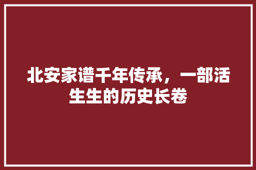 北安家谱千年传承，一部活生生的历史长卷