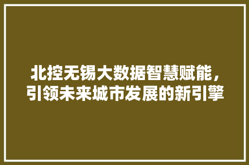 北控无锡大数据智慧赋能，引领未来城市发展的新引擎