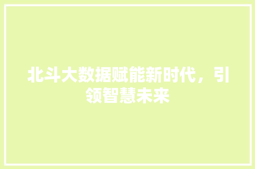 北斗大数据赋能新时代，引领智慧未来