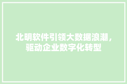 北明软件引领大数据浪潮，驱动企业数字化转型