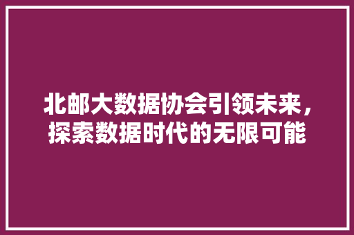 北邮大数据协会引领未来，探索数据时代的无限可能