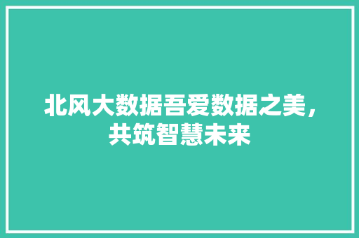 北风大数据吾爱数据之美，共筑智慧未来