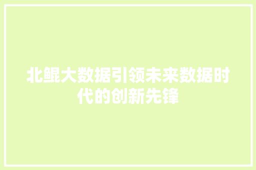 北鲲大数据引领未来数据时代的创新先锋