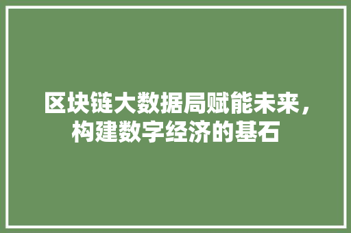 区块链大数据局赋能未来，构建数字经济的基石