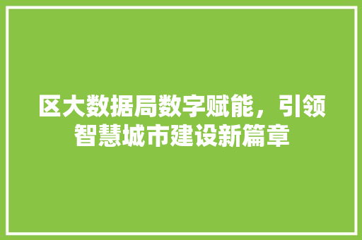 区大数据局数字赋能，引领智慧城市建设新篇章