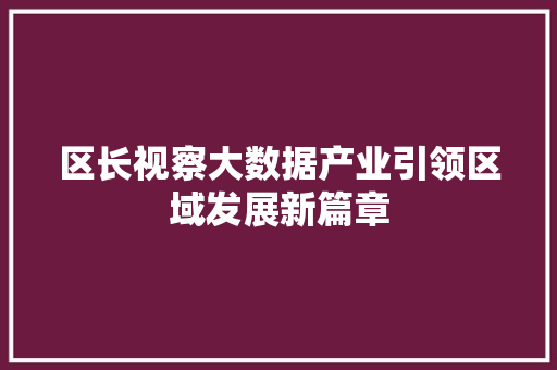 区长视察大数据产业引领区域发展新篇章