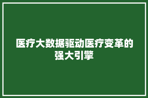 医疗大数据驱动医疗变革的强大引擎 医疗大数据驱动医疗变革的强大引擎
