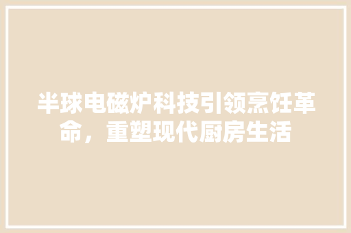 半球电磁炉科技引领烹饪革命，重塑现代厨房生活