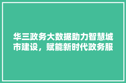华三政务大数据助力智慧城市建设，赋能新时代政务服务