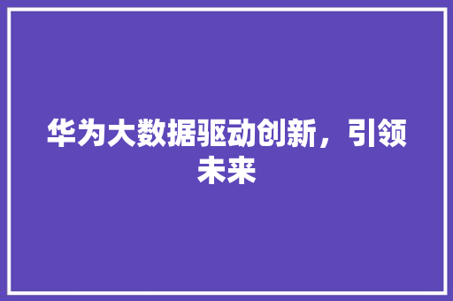 华为大数据驱动创新，引领未来