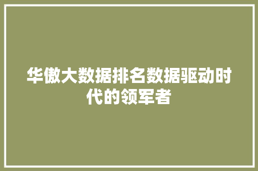 华傲大数据排名数据驱动时代的领军者