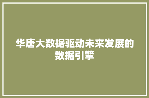 华唐大数据驱动未来发展的数据引擎