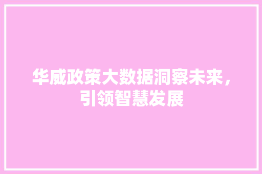 华威政策大数据洞察未来，引领智慧发展