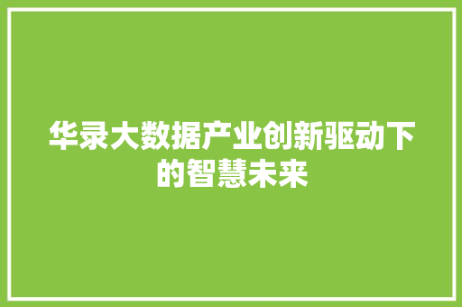 华录大数据产业创新驱动下的智慧未来