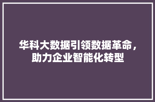 华科大数据引领数据革命，助力企业智能化转型