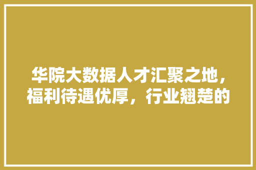 华院大数据人才汇聚之地，福利待遇优厚，行业翘楚的摇篮